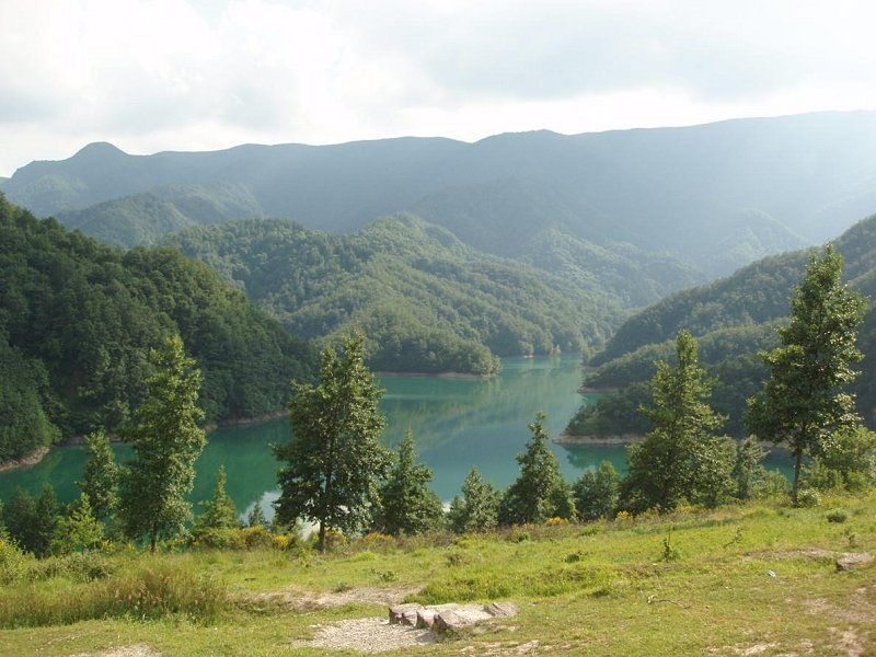 Parco Nazionale Foreste Casentinesi