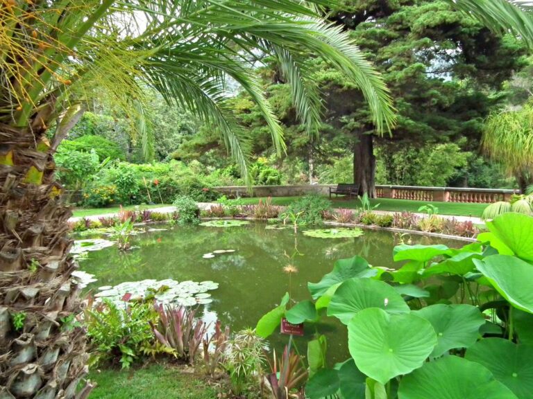 Botanischer Garten Val Rahmeh