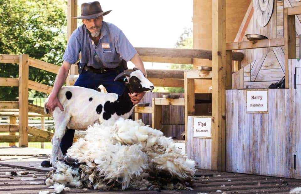 Willows Activity Farm