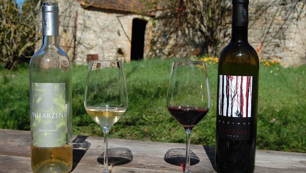 Wein