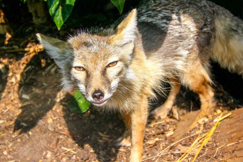 Paradise Wildlife Park