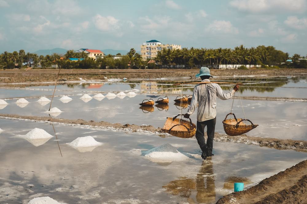 Kampot Salzfelder