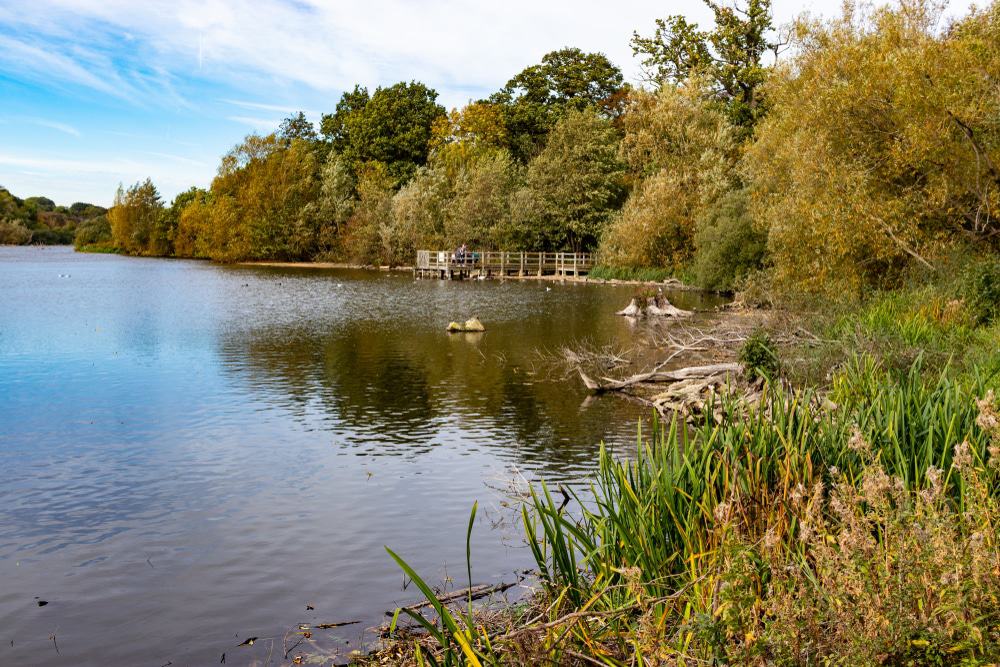 Hatfield Park