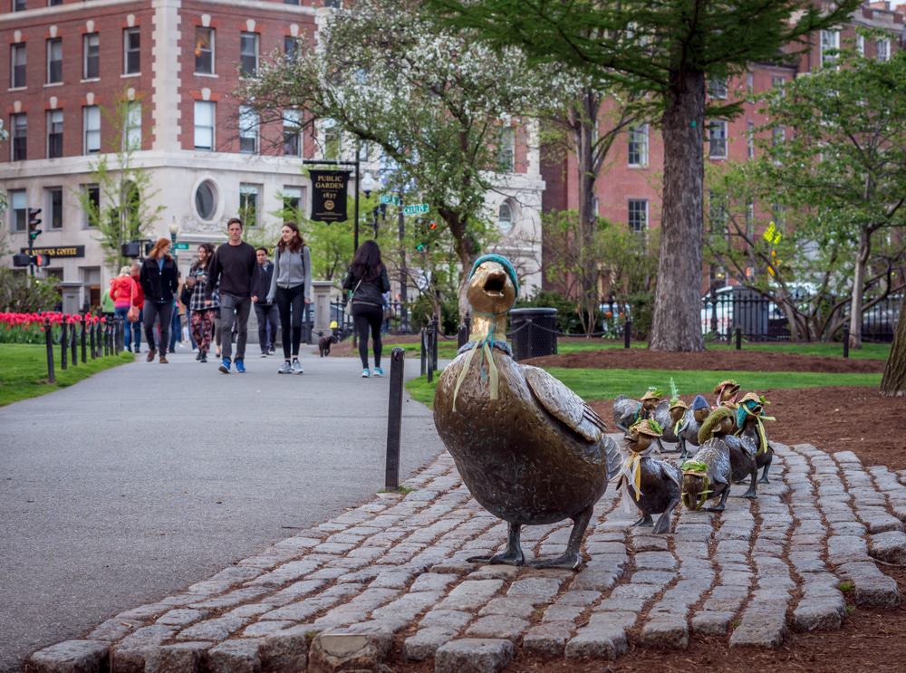 Platz machen für Entenküken, Boston