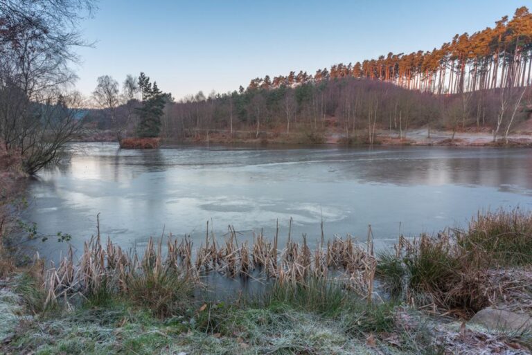 Cannock Chase AONB