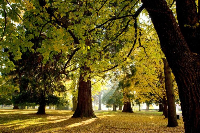 Kochpark