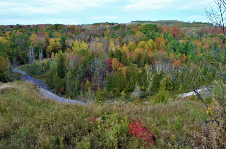 Rouge National Urban Park