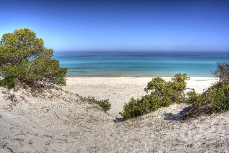 Plage de Saleccia