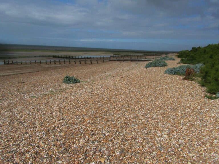 East Beach