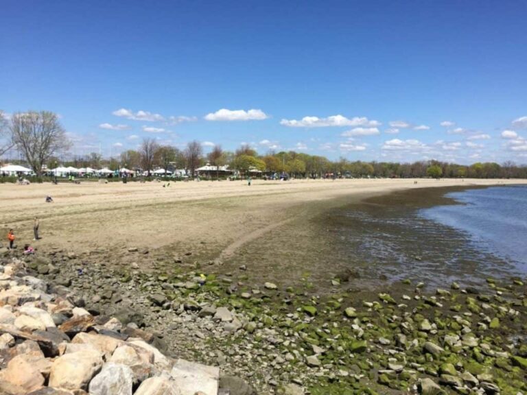 Kalbweide Strand