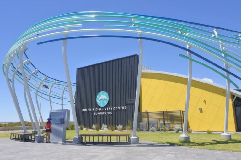 Dolphin Discovery Center