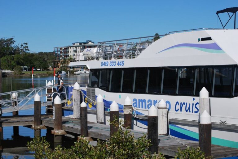 Amaroo Dolphin and Whale Watching Cruises