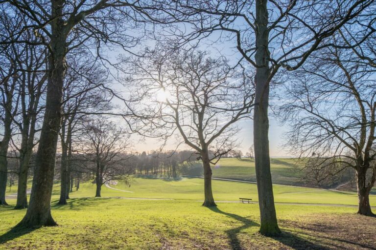 Roundhay Park, Leeds