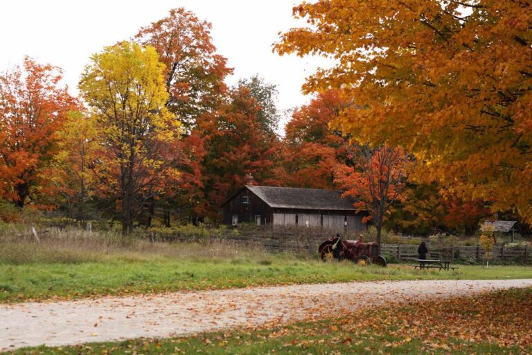 Bronte Creek Provinzpark