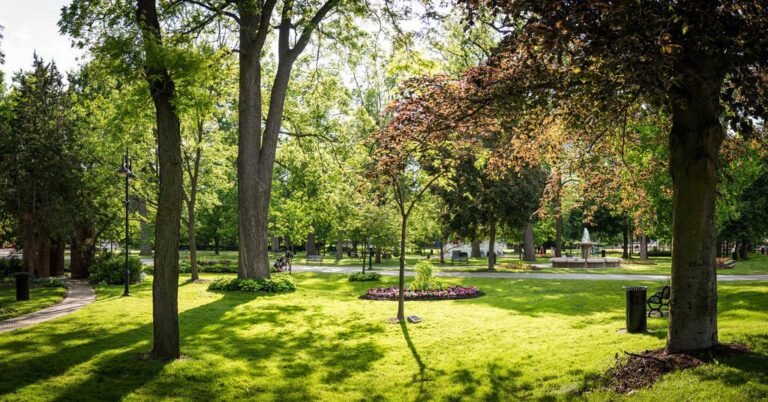 Gage Park