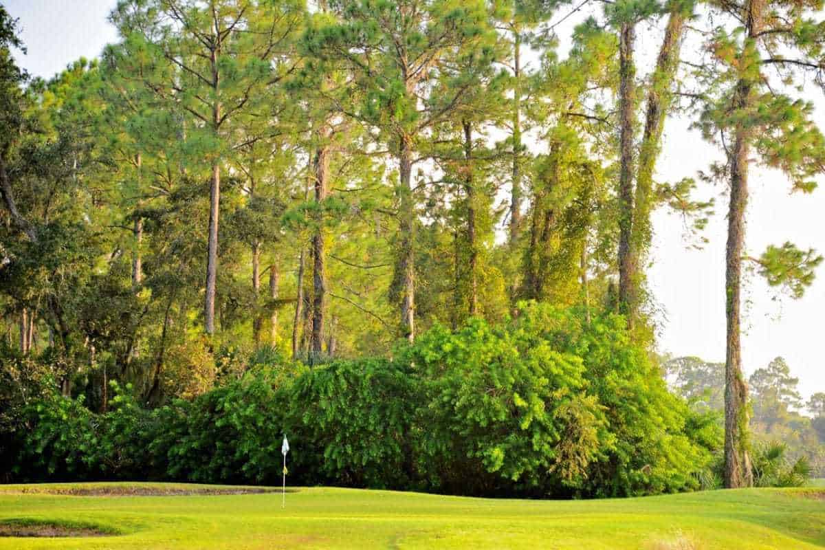 Das Reservat am Turnbull Bay Golfplatz