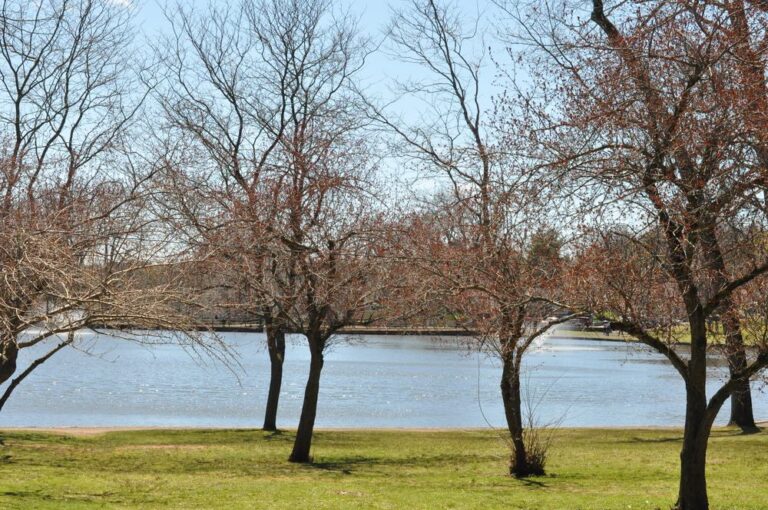 Hubbard Park