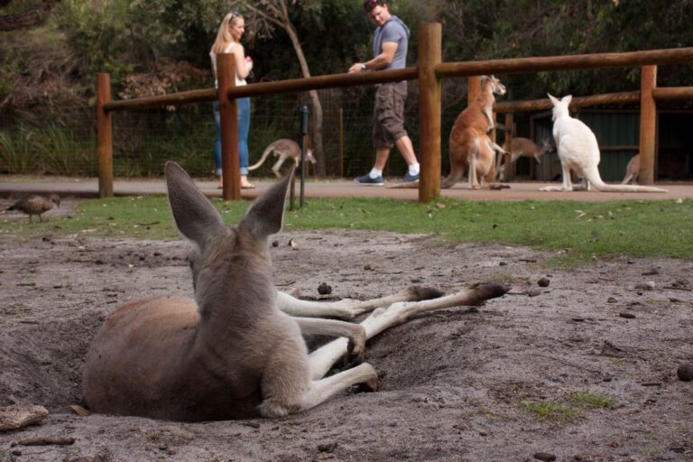 Caversham Wildlife Park