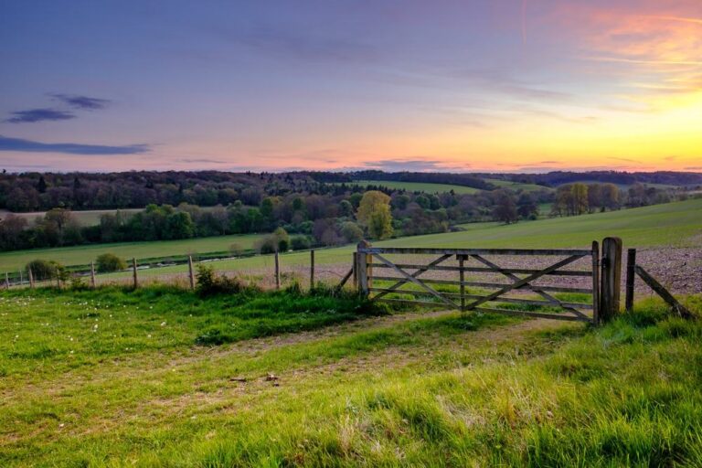 Die Chilterns