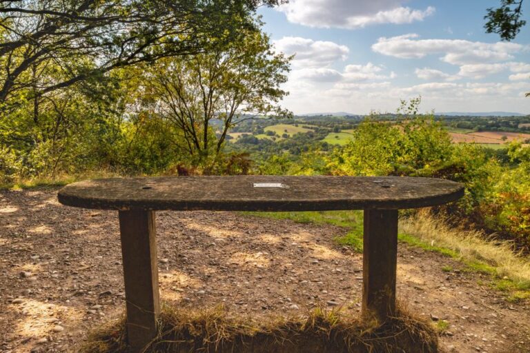 Kinver Edge