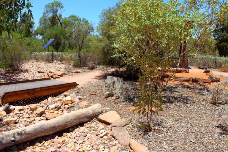 Botanischer Garten des australischen Trockenlandes