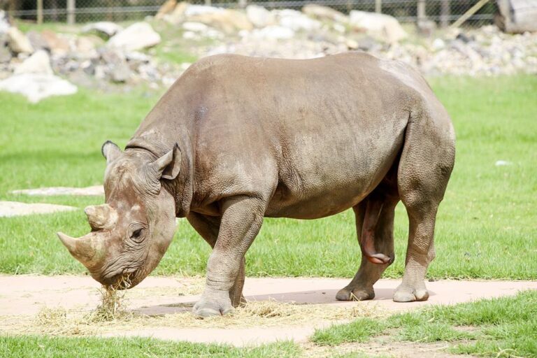 Taronga Western Plains Zoo