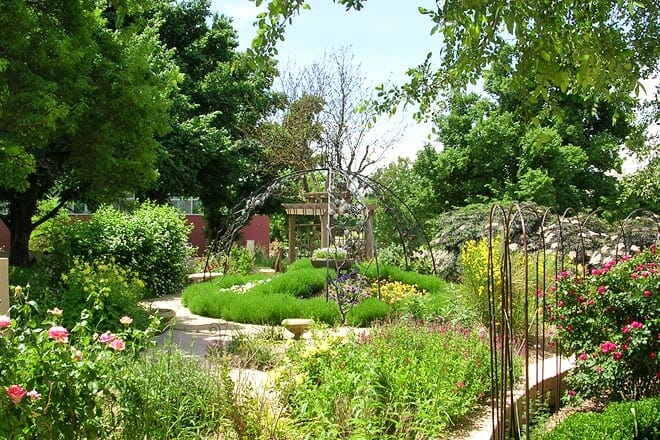 Amarillo Botanischer Garten