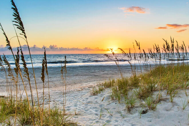 Amelia Island State Park