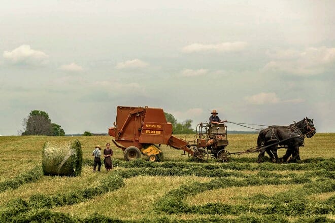 Amisches Land