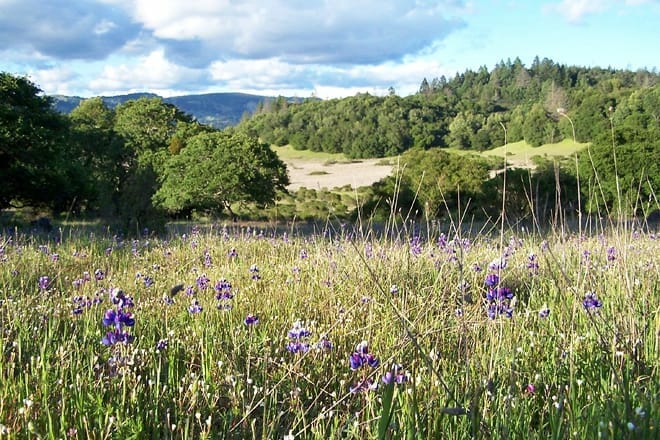 Annadel Staatspark