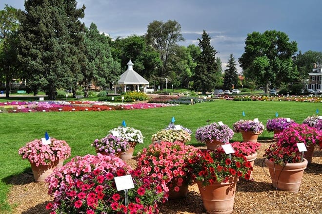 jährlicher Blumenversuchsgarten