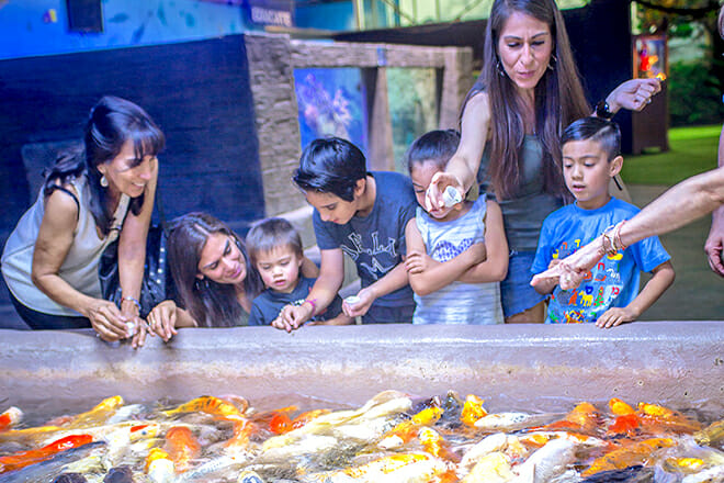 Austin Aquarium