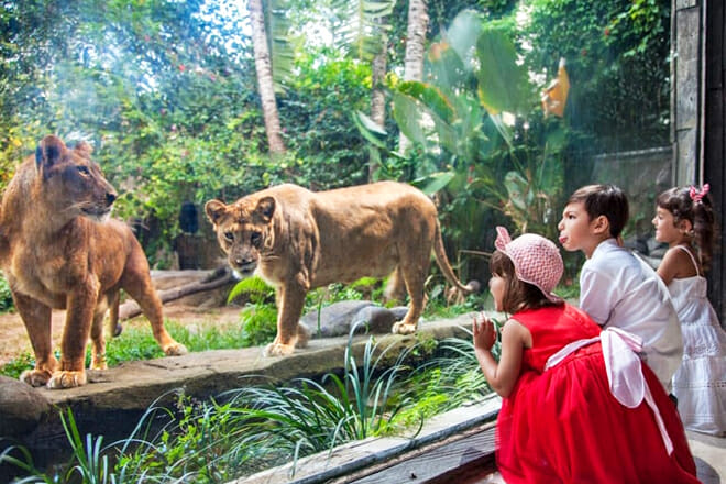 Bali-Zoo