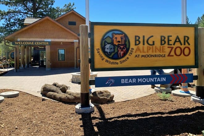 großer bär alpenzoo