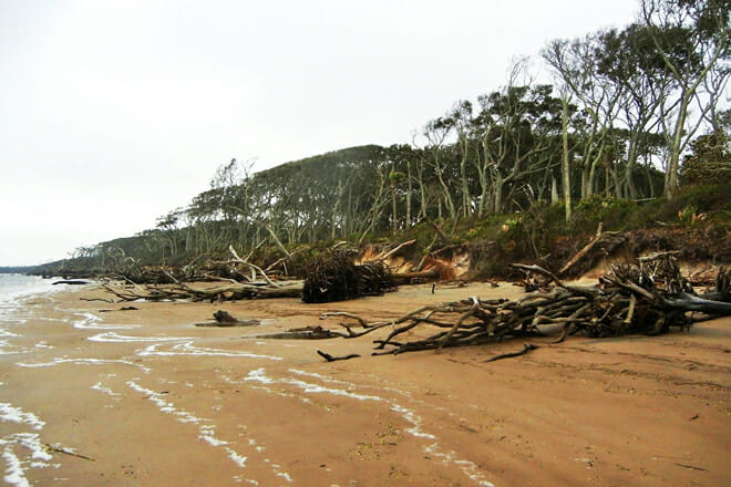 Big Talbot Island Staatspark