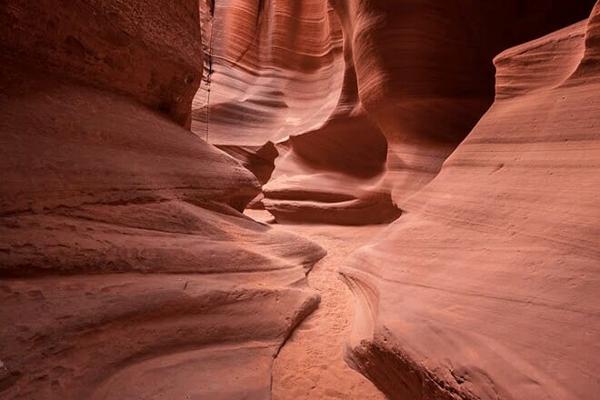 canyon x