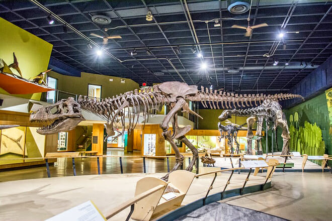 Cleveland Museum Of Natural History — East Side