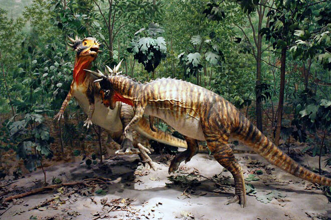 Denver Museum of Nature Science – Stadtparkgebiet