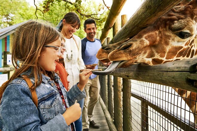 Dickerson-Park-Zoo