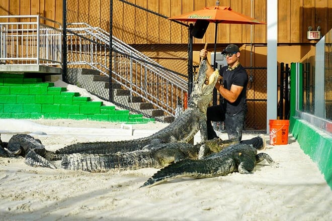 Everglades-Ferienpark