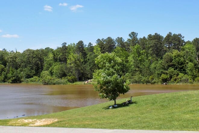 faulkner park