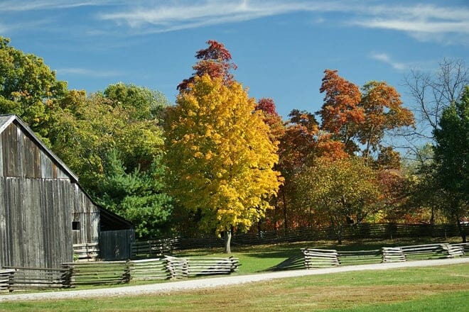 faust park