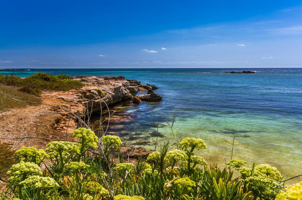 Favignana Insel