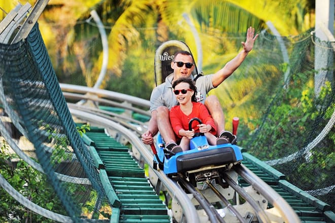 Georgia Mountain Coaster