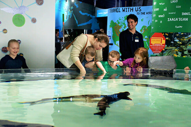 Great Lakes Aquarium — Duluth