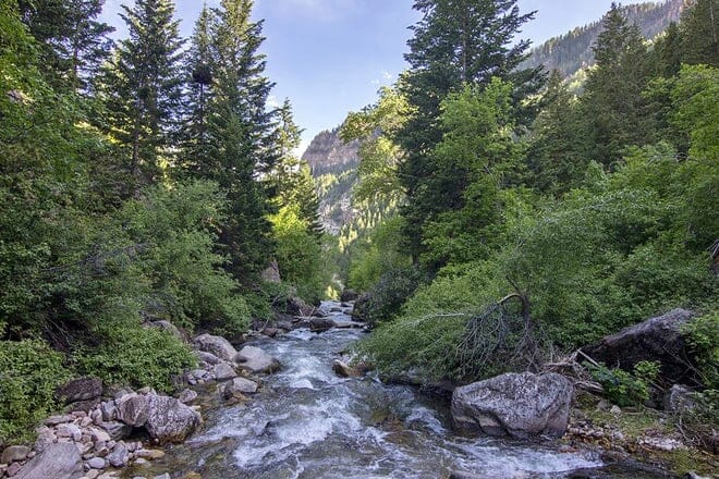 Grizzly-Creek-Trail