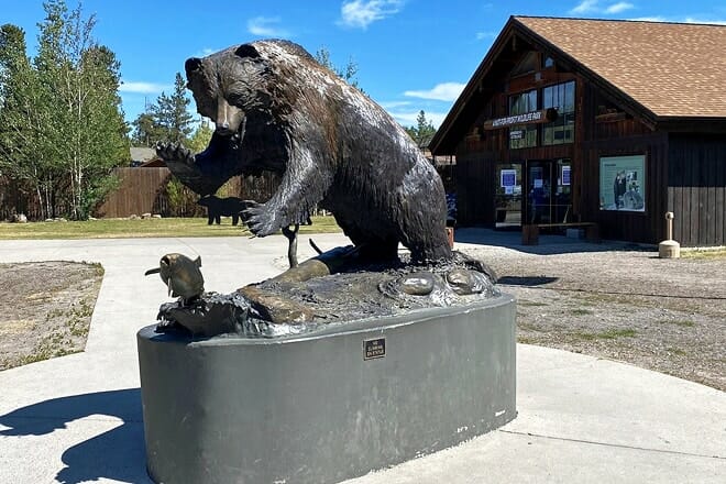 Grizzly- und Wolf-Entdeckungszentrum