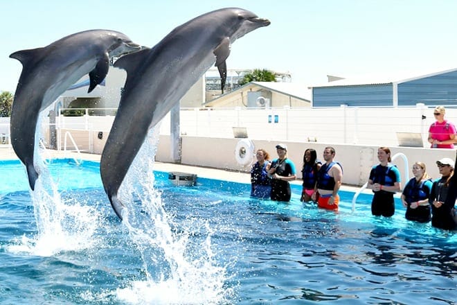 Gulfarium Meeresabenteuerpark