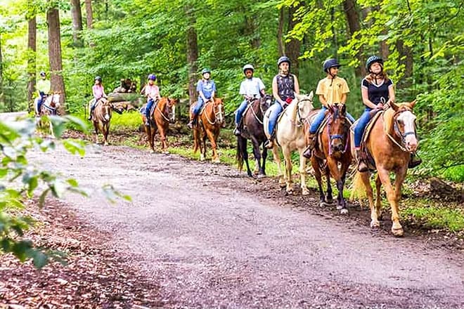 Reitstall auf dem Hügel