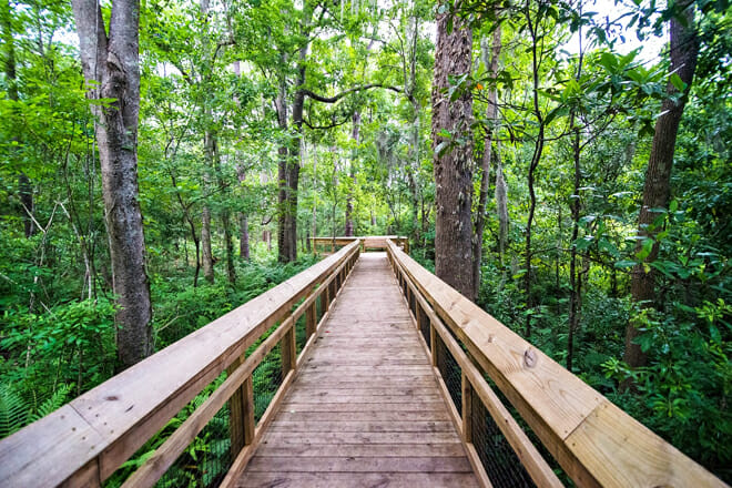 Jacksonville Arboretum und Gärten